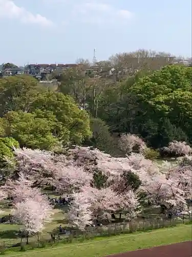 氷川神社の周辺
