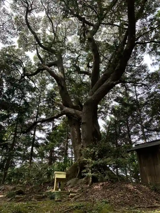 須賀神社(千葉県)