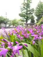 福井神社の{uncategorized: "未分類", other: "その他", undefined: "問題あり", building: "その他建物", grave: "お墓", sacred_gate: "鳥居", guardian: "狛犬", statue: "像", buddha: "仏像", history: "歴史", nature: "自然", garden: "庭園", animal: "動物", pagoda: "塔", temizu: "手水舎", mountain_gate: "山門・神門", sanctuary: "本殿・本堂", subordinate: "末社・摂社", art: "芸術", scenery: "景色", jizo: "地蔵", ema: "絵馬", goshuin: "御朱印", omikuji: "おみくじ", items: "授与品その他", amulet: "お守り", goshuincho: "御朱印帳", eats: "食事", festival: "お祭り", votive_dance: "神楽", shichigosan: "七五三参", wedding: "結婚式", experience: "体験その他", initially: "初詣", around: "周辺", anti_infection: "感染症対策"}