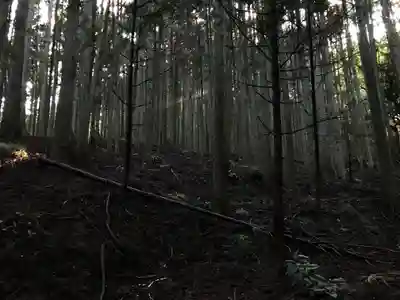 龜山神社の周辺