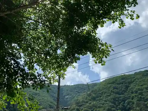 金花猫大明神の周辺