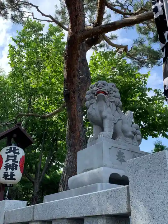 北見神社の狛犬