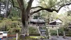 事任八幡宮の庭園