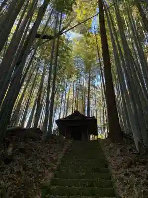 日神社の自然