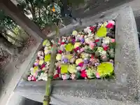 豊山八幡神社の手水舎