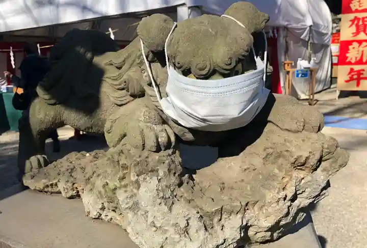 田無神社の狛犬