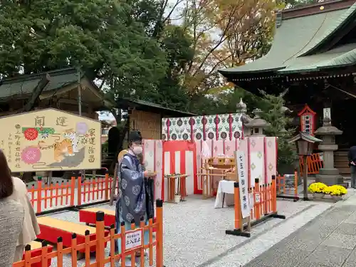 上野総社神社の七五三参