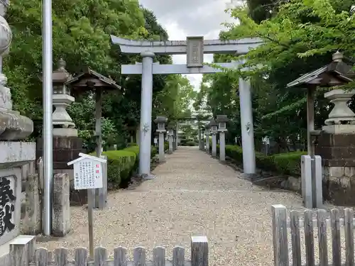 島田神社の鳥居