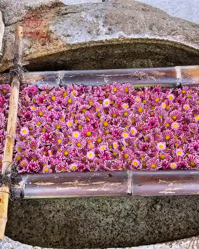 立志神社(滋賀県)
