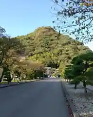 愛媛縣護國神社の景色