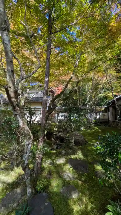 西明寺(京都府)