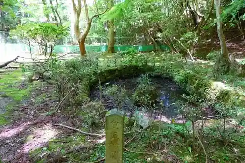 興福寺の庭園