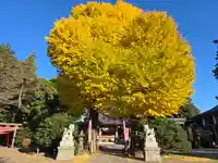 亀ケ池八幡宮(神奈川県)