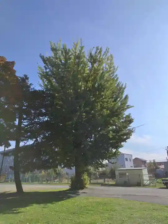 厚別神社(北海道)