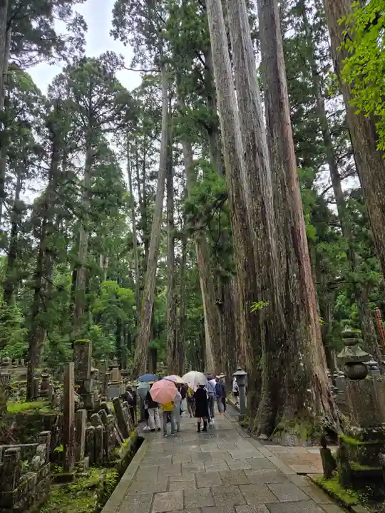 高野山金剛峯寺奥の院(和歌山県)