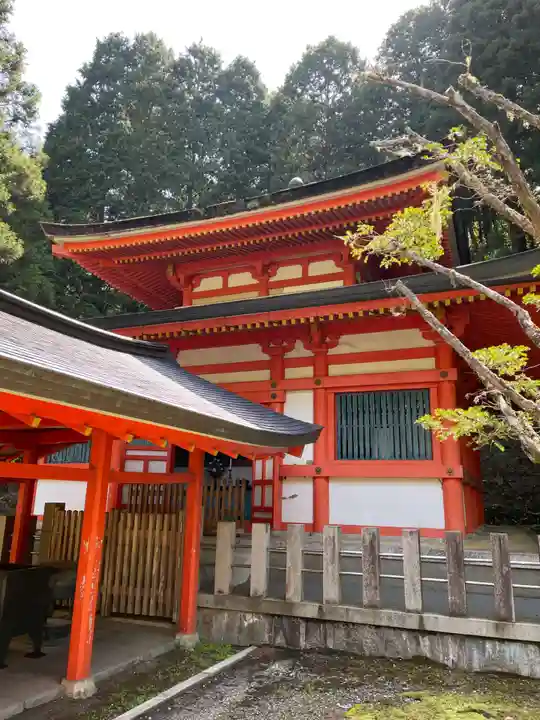 高野山金剛峯寺奥の院(和歌山県)