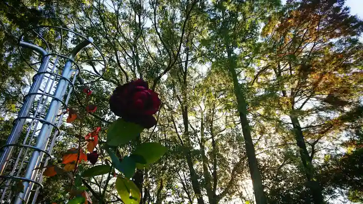 尾張大國霊神社(国府宮)の周辺