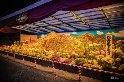 彌彦神社(新潟県)