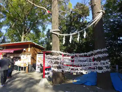 多摩川浅間神社のおみくじ