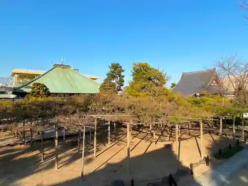 善養寺の庭園