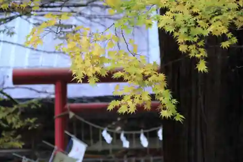 磐椅神社の鳥居