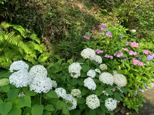 普門寺(切り絵御朱印発祥の寺)の芸術