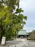 時宗総本山 遊行寺(正式:清浄光寺)(神奈川県)
