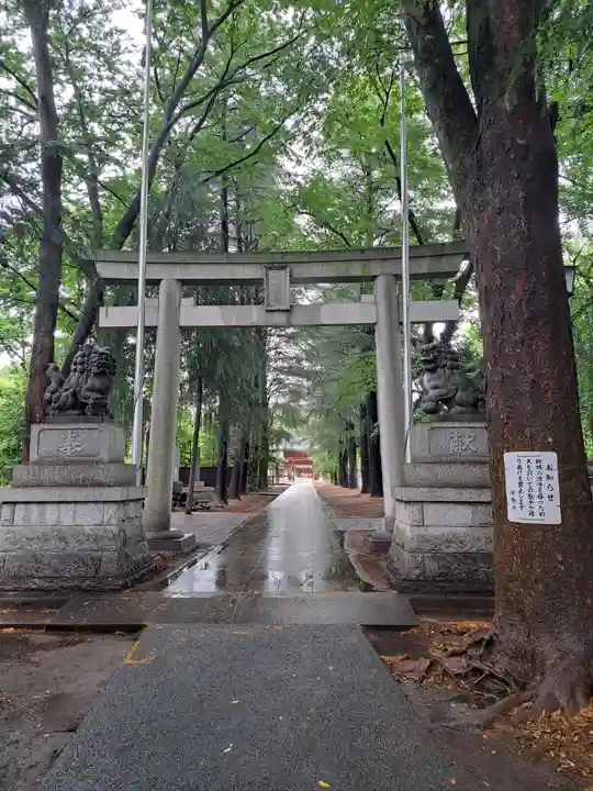 諏訪神社(東京都)