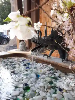 札幌諏訪神社の手水舎