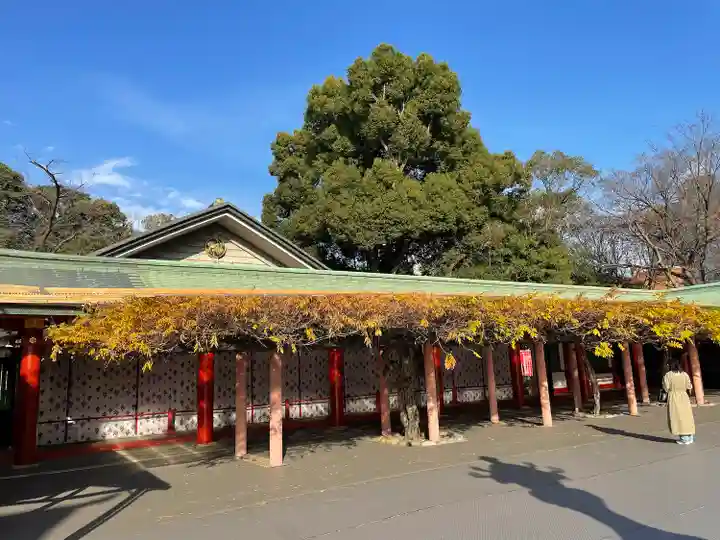 日枝神社(東京都)