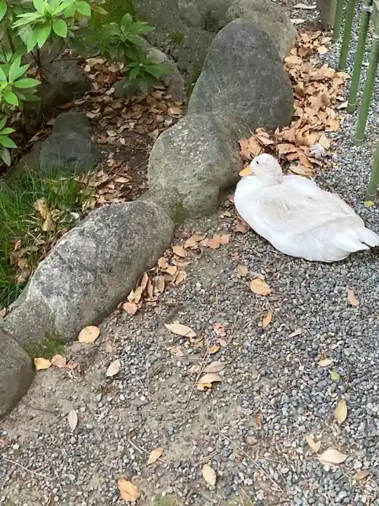 平塚八幡宮(神奈川県)