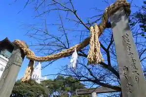 伊勢山皇大神宮の鳥居(2020年12月06日(日) 17時32分15秒投稿)