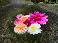 日枝神社(福島県)