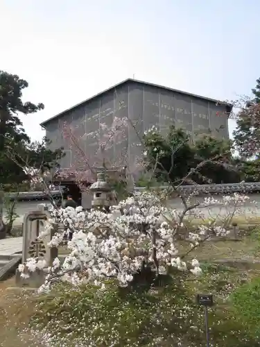 仁和寺の庭園