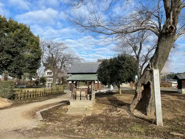 下野薬師寺 (旧 安國寺)(栃木県)