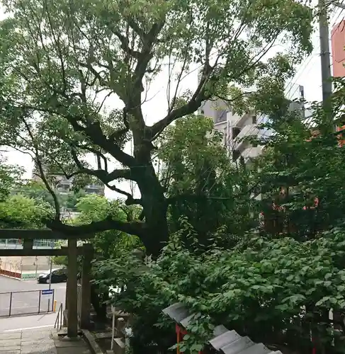 東高津宮の鳥居