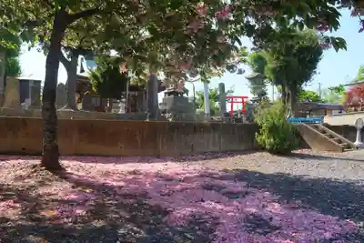 熊野福藏神社の景色