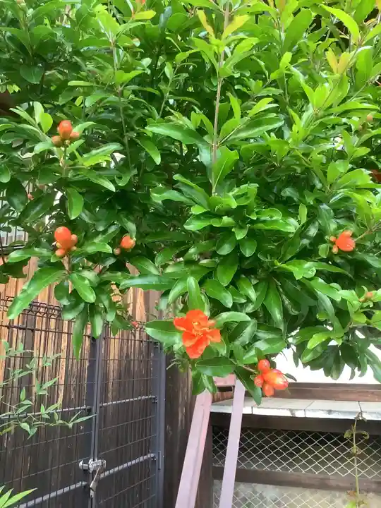 永泉寺(愛知県)