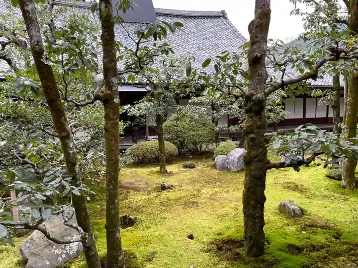 三宝院(三宝院門跡)(京都府)