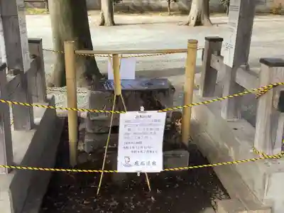 相模原氷川神社の手水舎