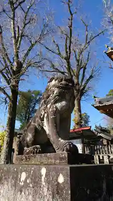 津森神宮の狛犬