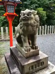 吉田神社の狛犬