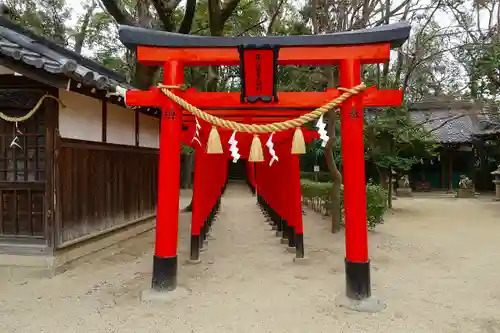 亀之森住吉神社の鳥居