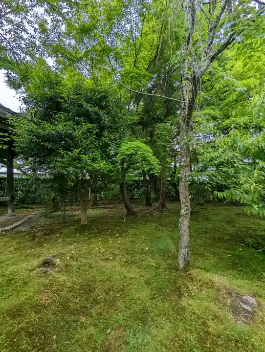 法金剛院(京都府)