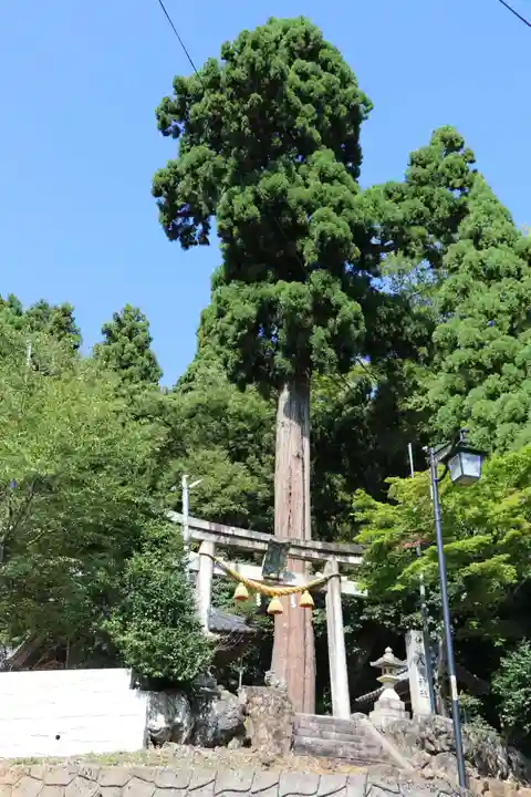八幡神社(西浅井町小山)(滋賀県)