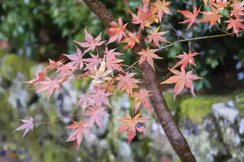 寂光院(京都府)