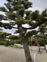 空臨寺の{uncategorized: "未分類", other: "その他", undefined: "問題あり", building: "その他建物", grave: "お墓", sacred_gate: "鳥居", guardian: "狛犬", statue: "像", buddha: "仏像", history: "歴史", nature: "自然", garden: "庭園", animal: "動物", pagoda: "塔", temizu: "手水舎", mountain_gate: "山門・神門", sanctuary: "本殿・本堂", subordinate: "末社・摂社", art: "芸術", scenery: "景色", jizo: "地蔵", ema: "絵馬", goshuin: "御朱印", omikuji: "おみくじ", items: "授与品その他", amulet: "お守り", goshuincho: "御朱印帳", eats: "食事", festival: "お祭り", votive_dance: "神楽", shichigosan: "七五三参", wedding: "結婚式", experience: "体験その他", initially: "初詣", around: "周辺", anti_infection: "感染症対策"}