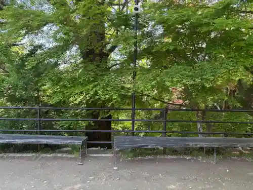 中山寺奥之院(兵庫県)