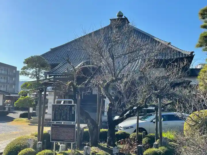 金剛寺(東京都)