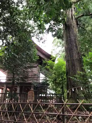 須佐神社の本殿